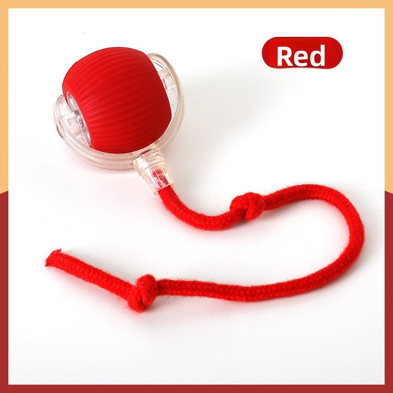 Interactive Pet Toy Ball with Adjustable Speeds