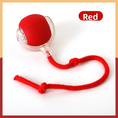 Interactive Pet Toy Ball with Adjustable Speeds