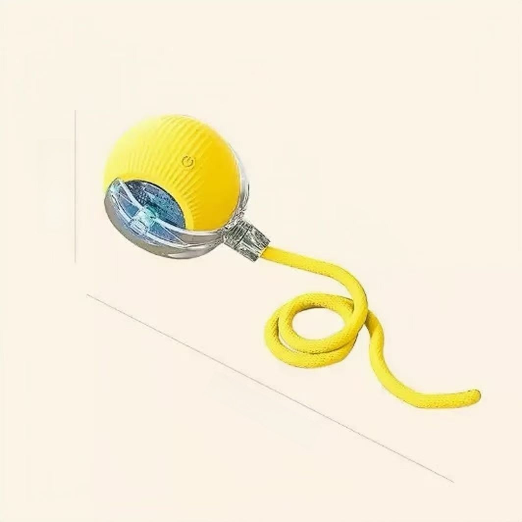 Interactive Pet Toy Ball with Adjustable Speeds