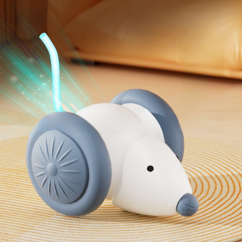 Interactive Pet Toy Ball with Adjustable Speeds