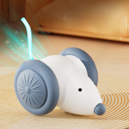 Interactive Pet Toy Ball with Adjustable Speeds